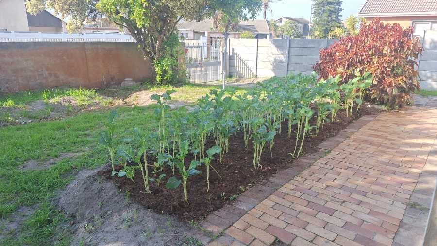 5 Bedroom Property for Sale in Retreat Western Cape